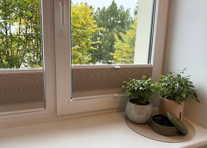 Amaraa Pikk - Feels Better Than Apartament *